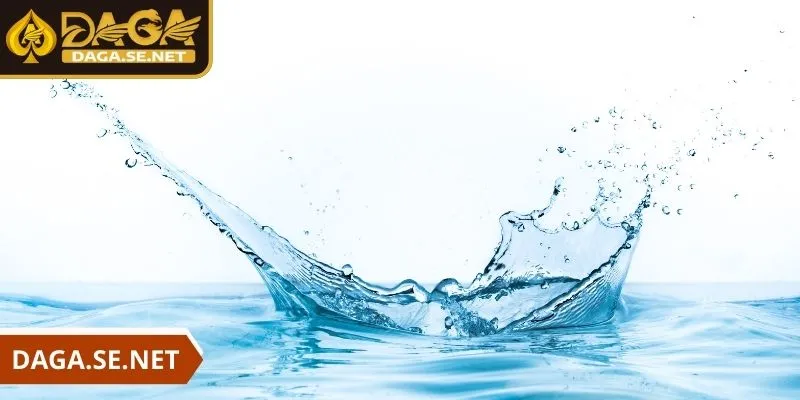 daga-nam-mo-thay-nuoc-giac-mong-dac-biet