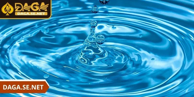 daga-nam-mo-thay-nuoc-nhieu-y-nghia