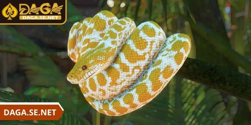 daga-nam-mo-thay-ran-nhieu-y-nghia