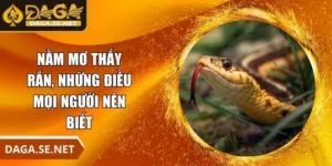 nam-mo-thay-ran-anh-dai-dien