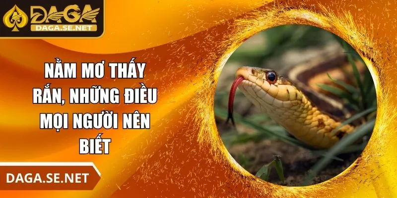 nam-mo-thay-ran-anh-dai-dien